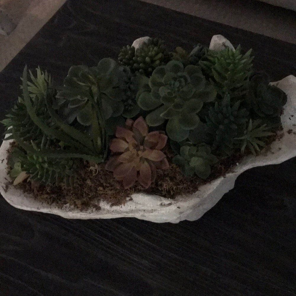 Meet your Posher, Abbie